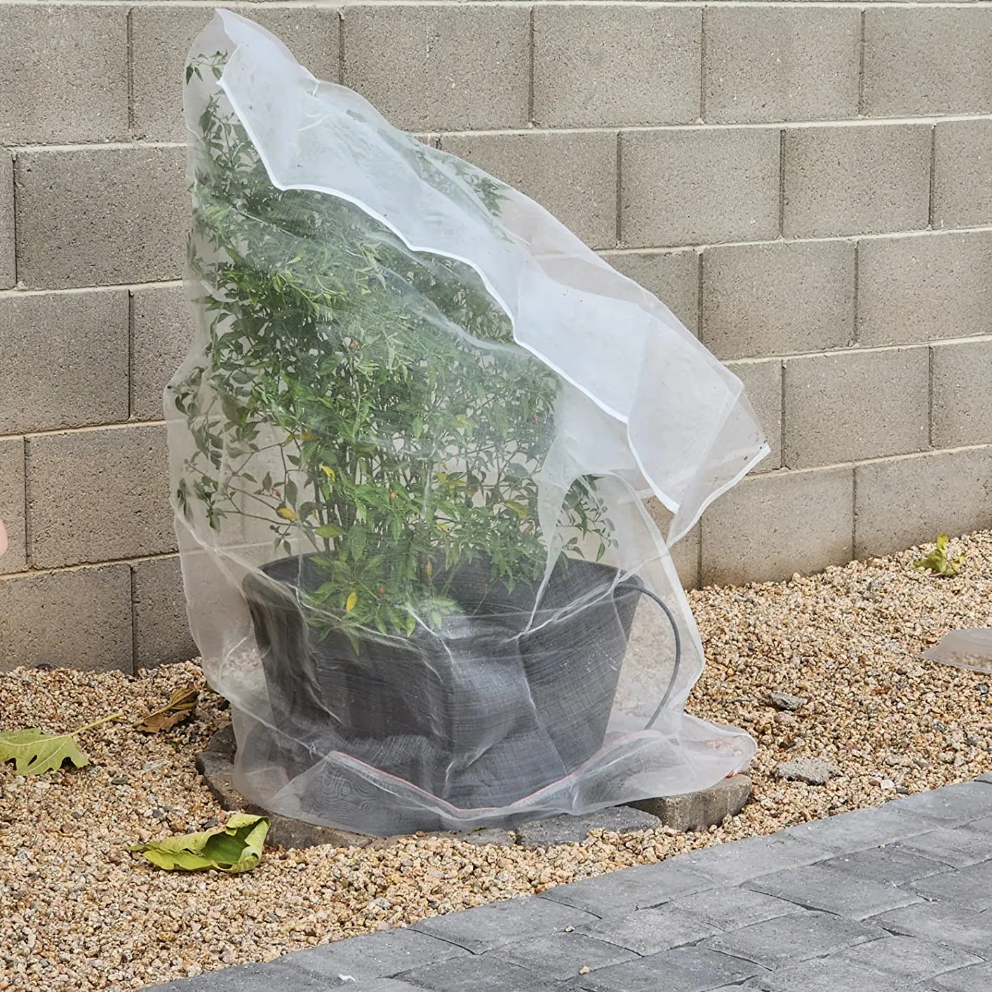 Green Shade Net for Sun Protection in Outdoor Spaces and Gardens Green Shade Net for Sun Protection in Outdoor Spaces and Gardens