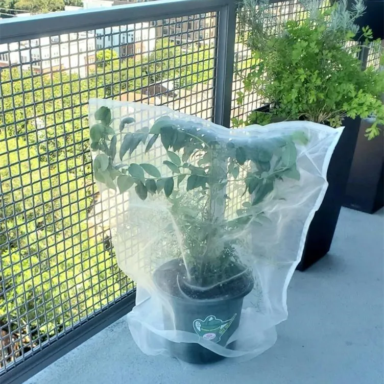 mesh for windows to keep insects out
