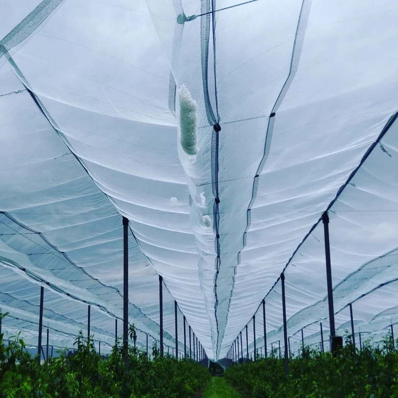 Protect Your Crops with Advanced Hail Nets