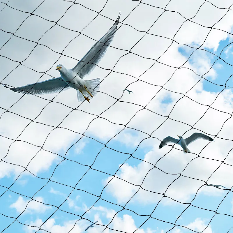 The Use and Value of Bird Net: A Win-Win Scheme for Protecting Crops and Ecology