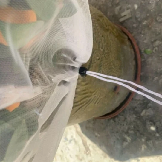 Essential Agricultural Nets for Modern Farming