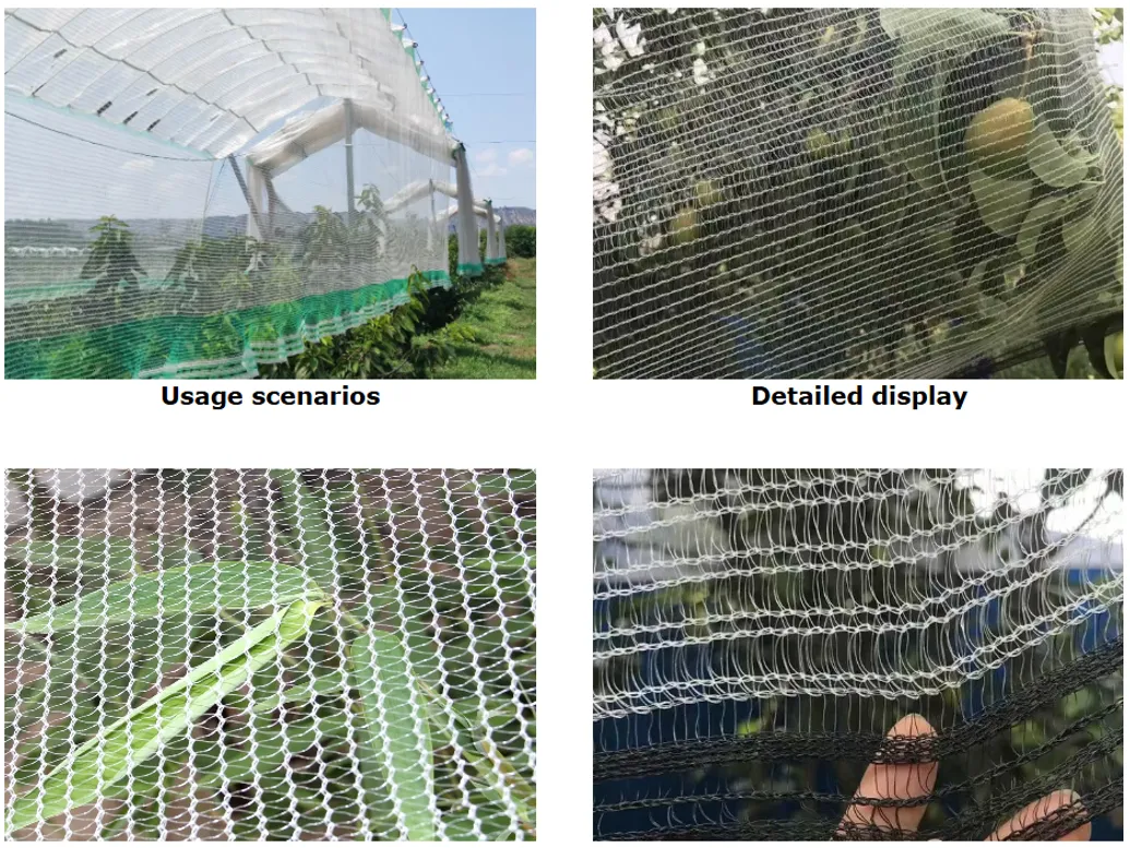 Good Quality Factory Directly Hail protection Netting Anti Hail Mesh With UV or Without As Customized on Farm