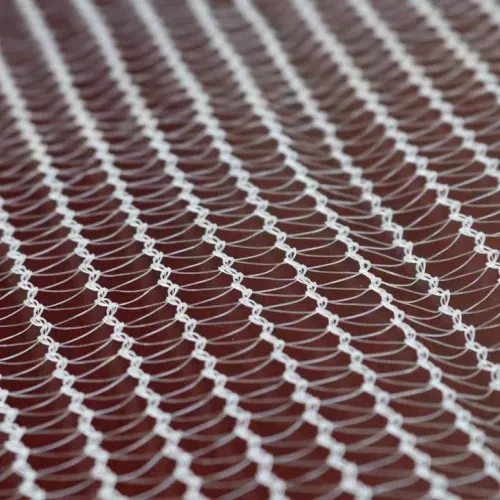 Read More About Insect Collecting Net Use