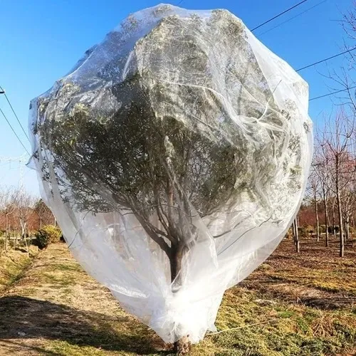 Read More About Bug Net