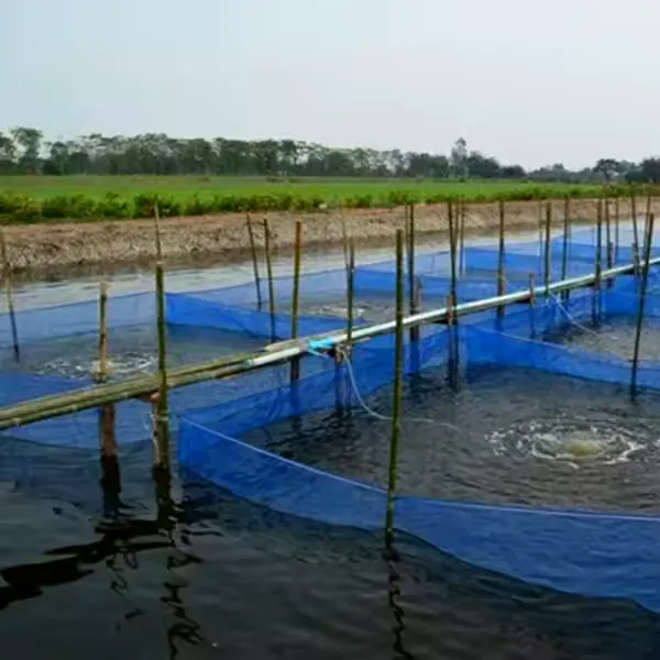 Read More About insect proof net