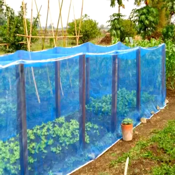 Read More About insect proof garden netting