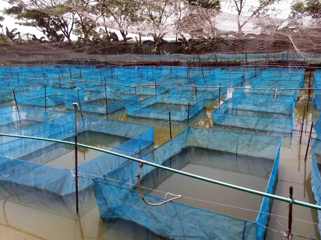 Read More About agricultural insect net price