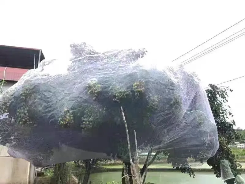 bug head net
