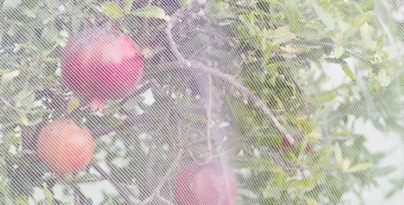 Feines Maschendraht aus Stahl für industrielle Anwendungen und innovative Lösungen