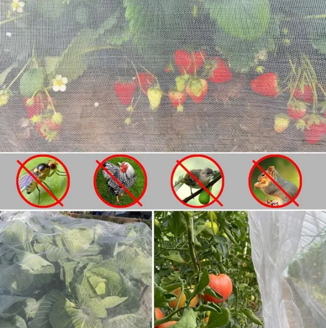 क्रिम्प केलेल्या तारेच्या जाळीचे उत्पादक आणि त्यांच्या विशेषतांचा आढावा