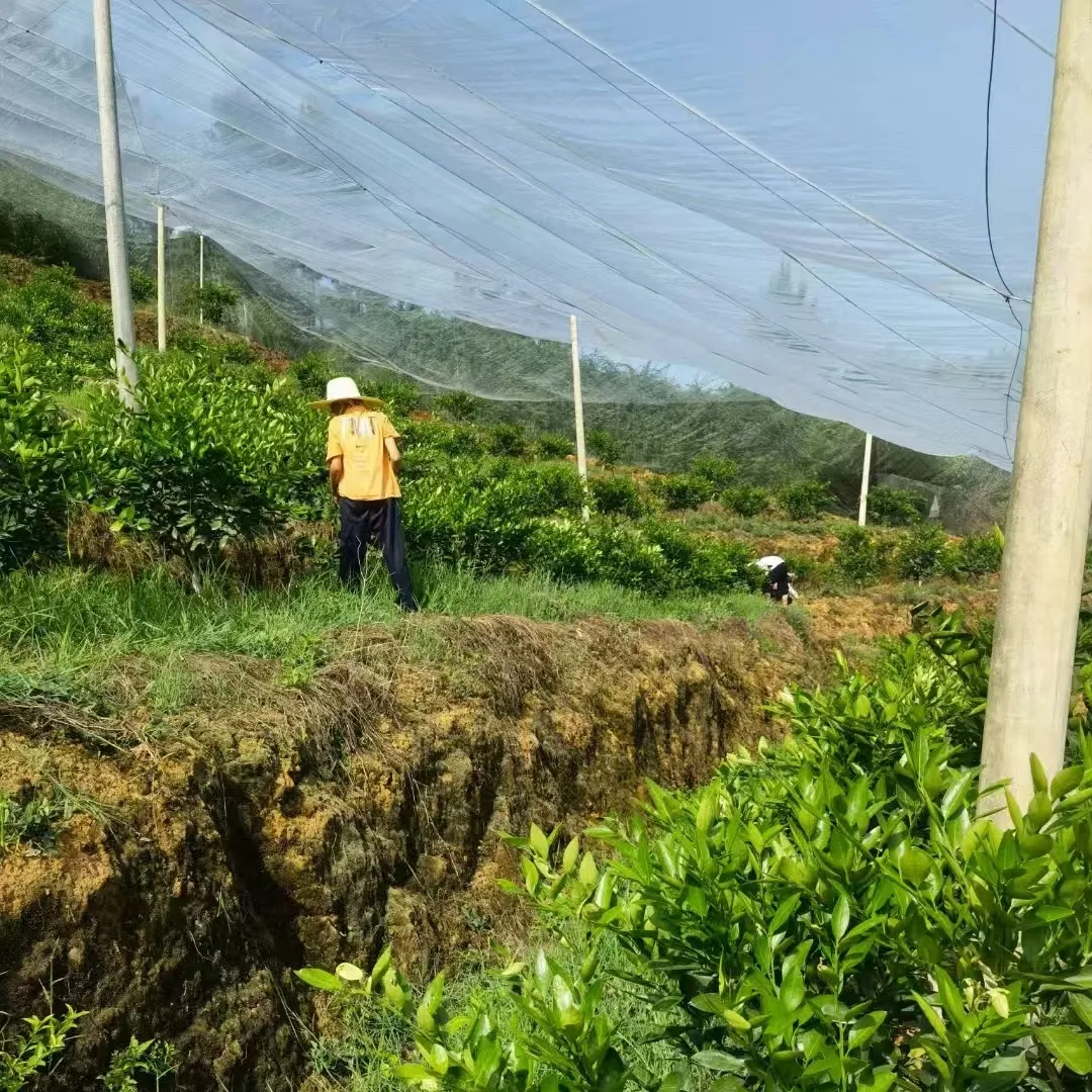 Read More About bug net catcher