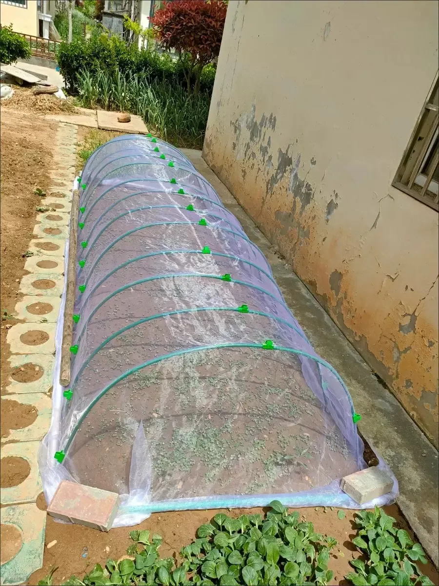 창문은 그물로 곤충을 막는다