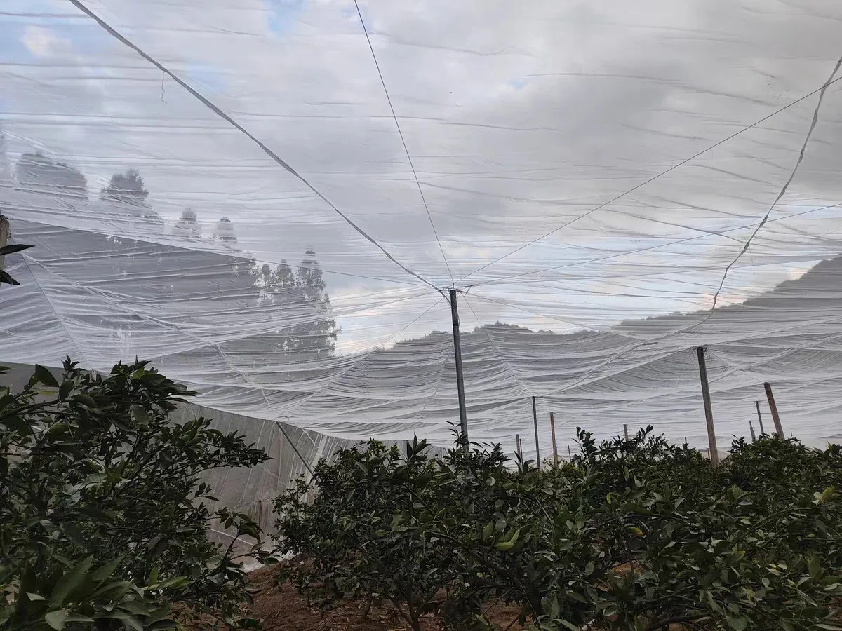 Enhancing Crop Growth with Effective Farm Shade Net Solutions for Sustainable Agriculture