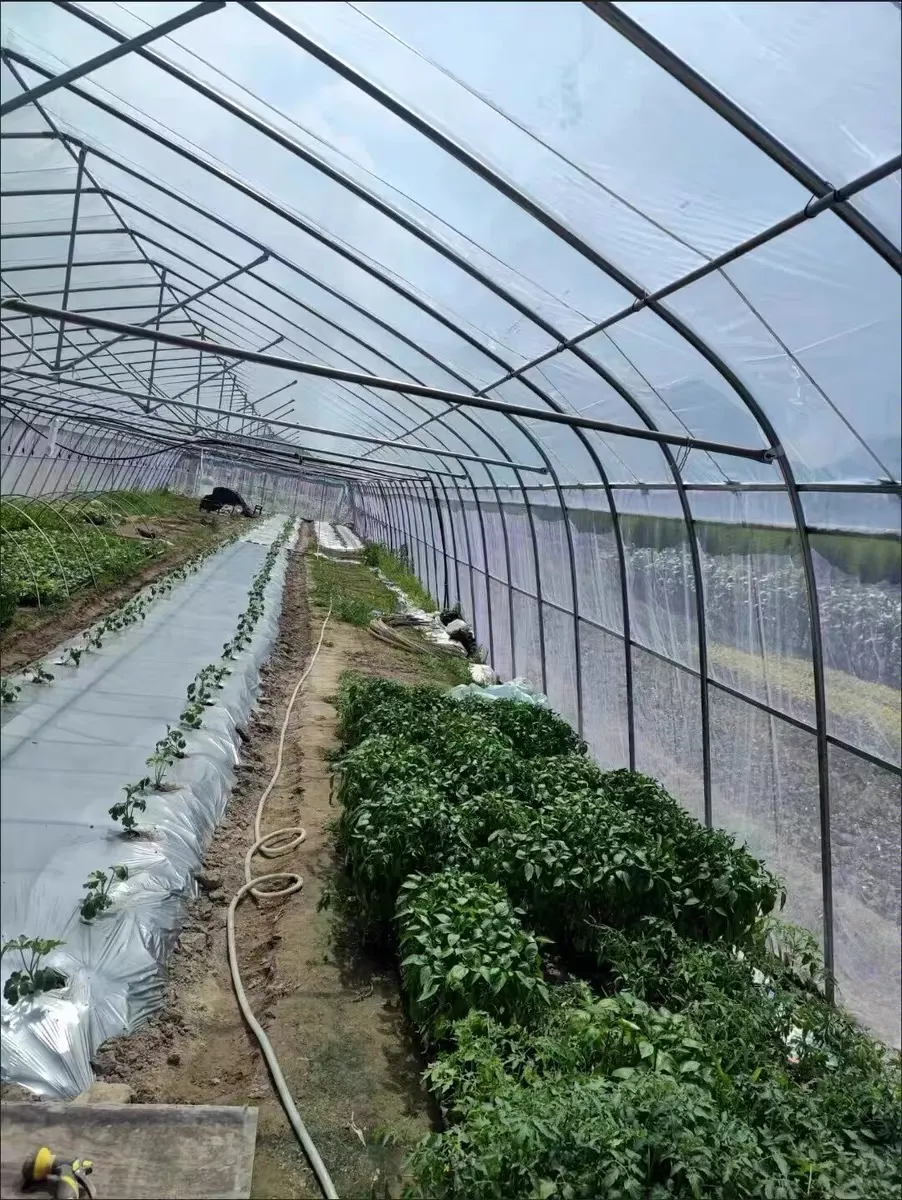 bee proof mesh bee proof mesh