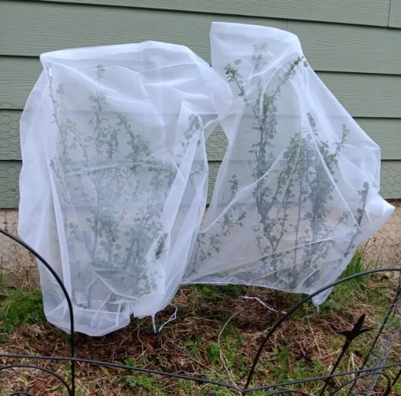 Netted Steel An Innovative Approach to Modern Construction Techniques and Materials