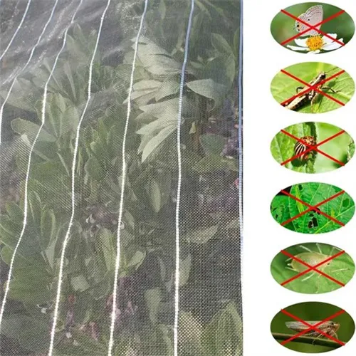 Read More About bug net