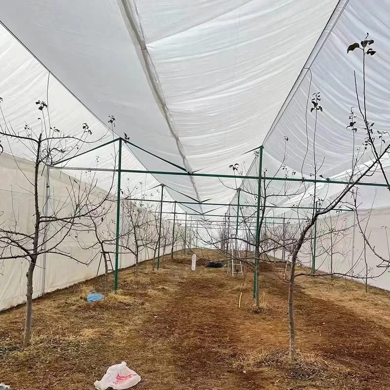 аграрӣ торикҳои нигаҳдории хосиятҳои ивазшаванда