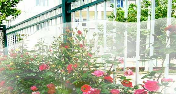 Durable Orange Construction Mesh for Enhanced Safety and Visibility on Job Sites