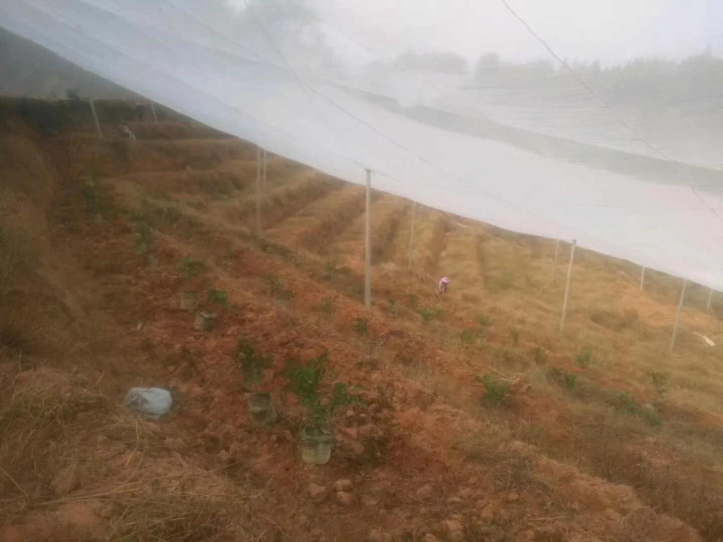 wire mesh welding machine