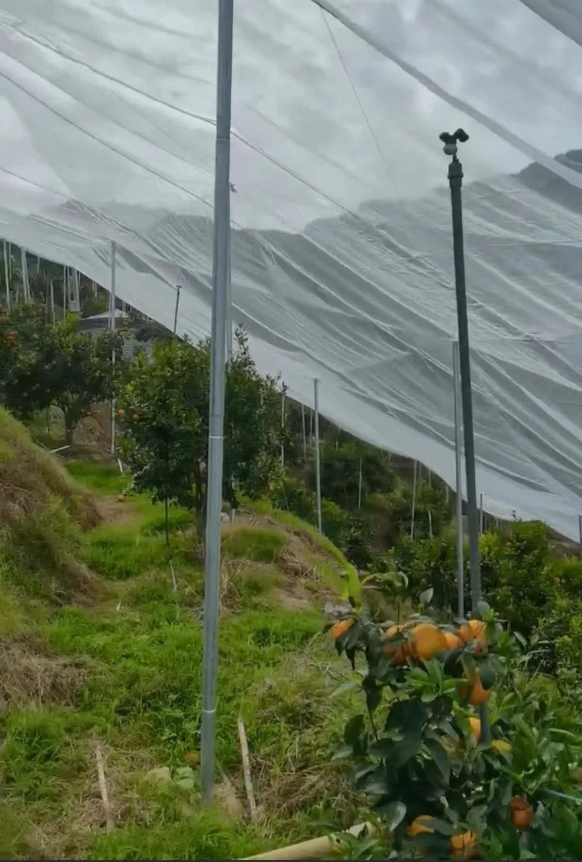 High-Quality Nylon Mesh Netting for Versatile Applications in Home and Industry Use