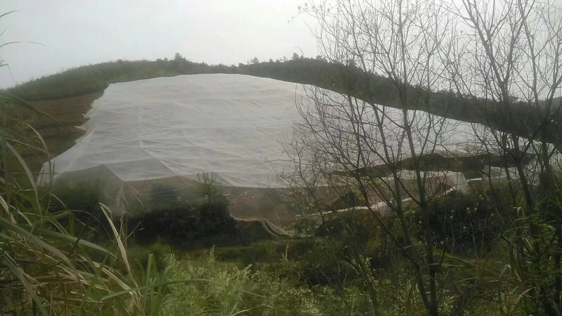 Assessing Fall Netting Strategies for Improved Wildlife Safety and Habitat Preservation