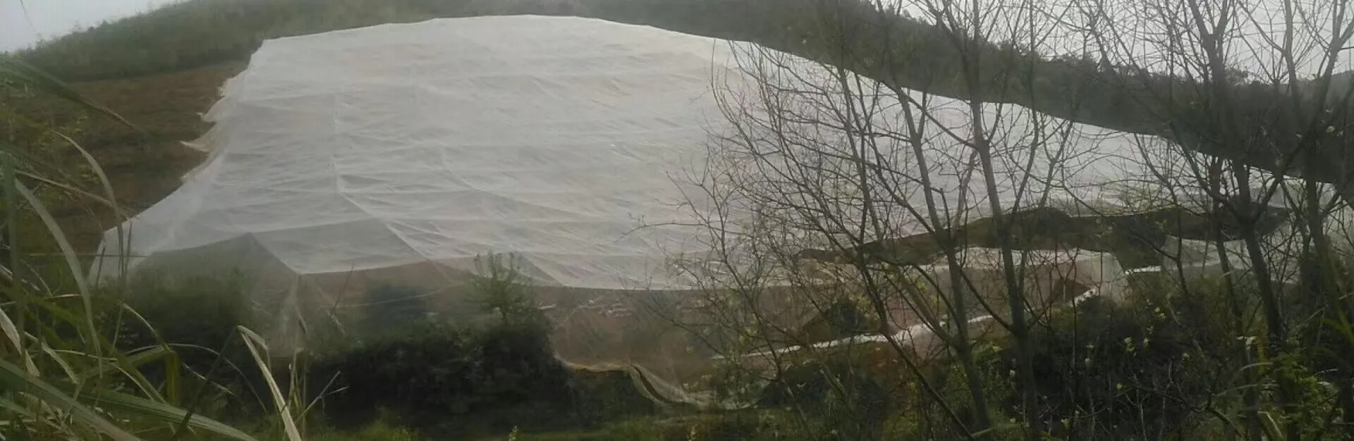 Affordable Prices for GI Welded Mesh Products in Your Area Affordable Prices for GI Welded Mesh Products in Your Area