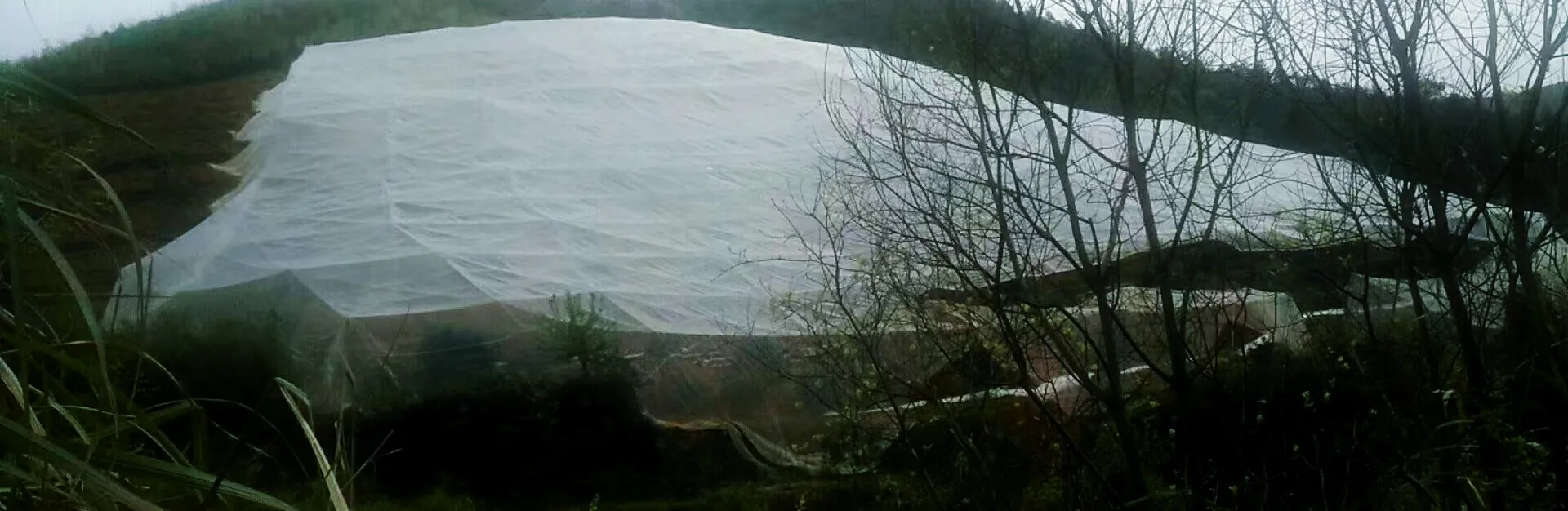 white bird netting white bird netting