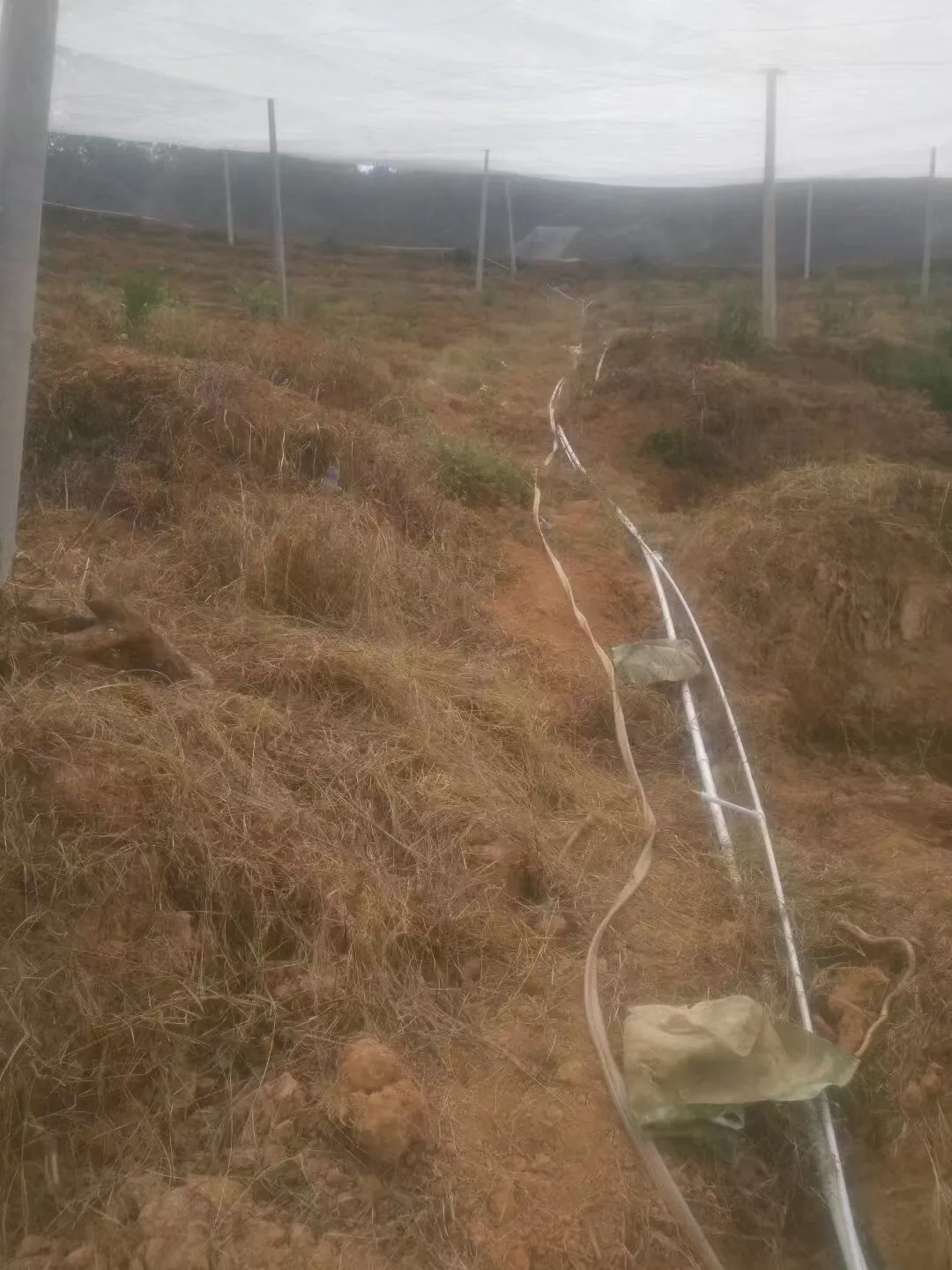 Durable Stainless Steel Welded Wire for Various Industrial Applications and Projects