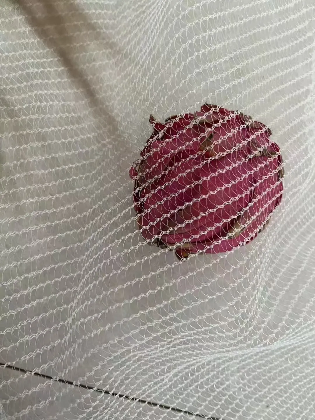 stainless suction strainer stainless suction strainer