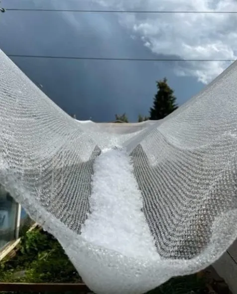 Read More About anti hail netting