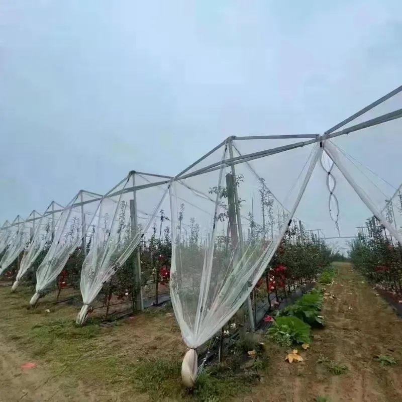 Read More About anti hail netting