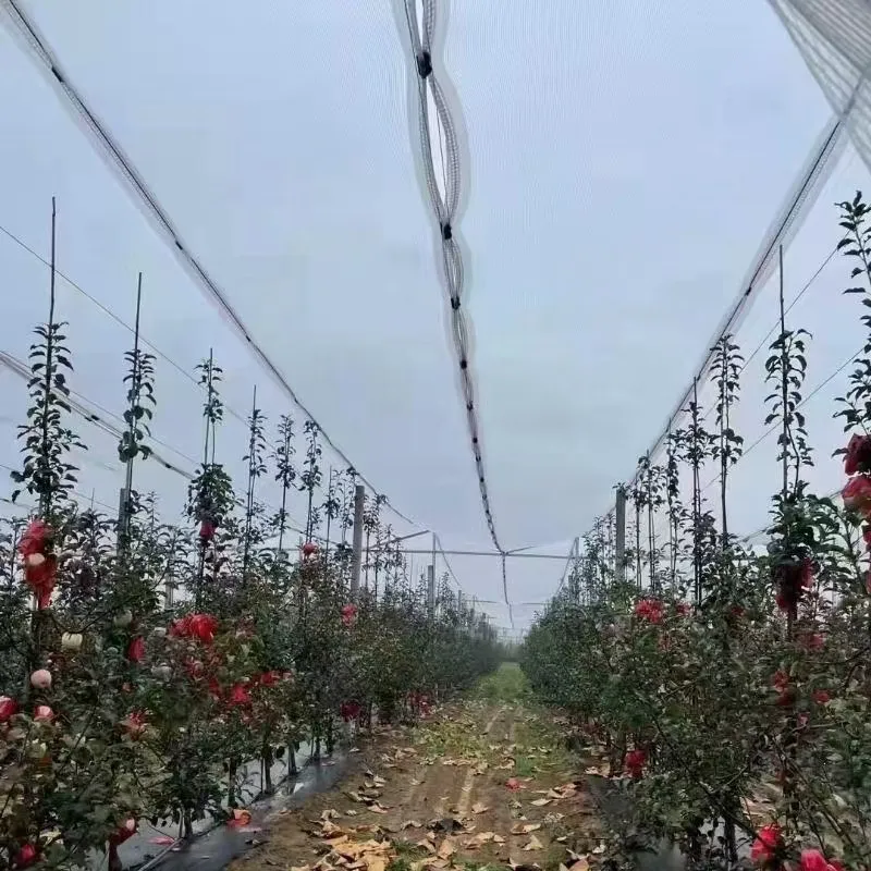 Read More About anti hail net for apple price