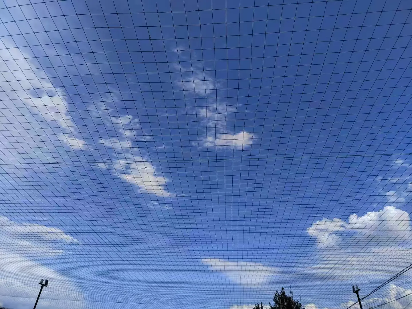 Read More About anti hail net price