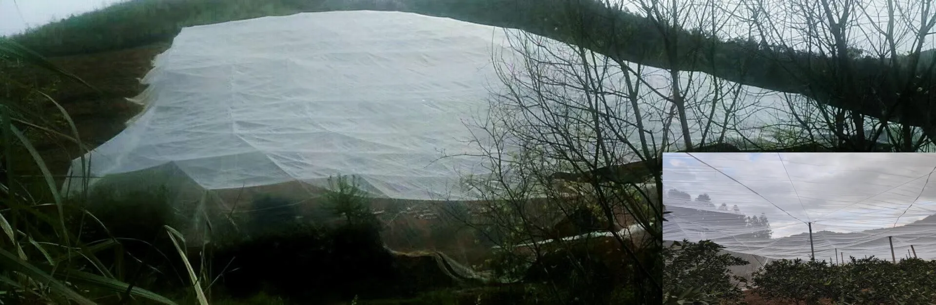 stainless steel mesh fabric