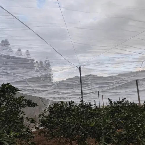 Thickened Nylon Mesh