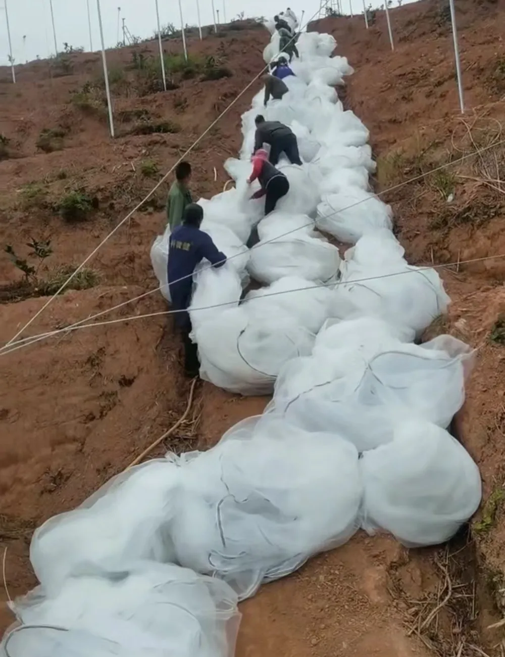 net for farming