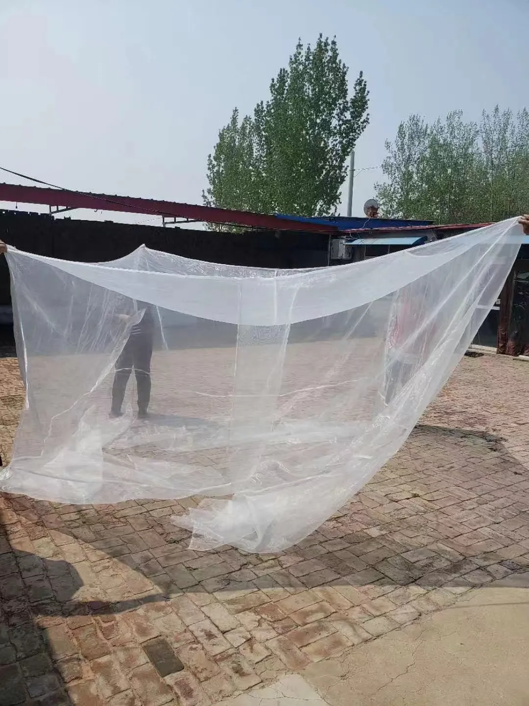 Read More About insect net