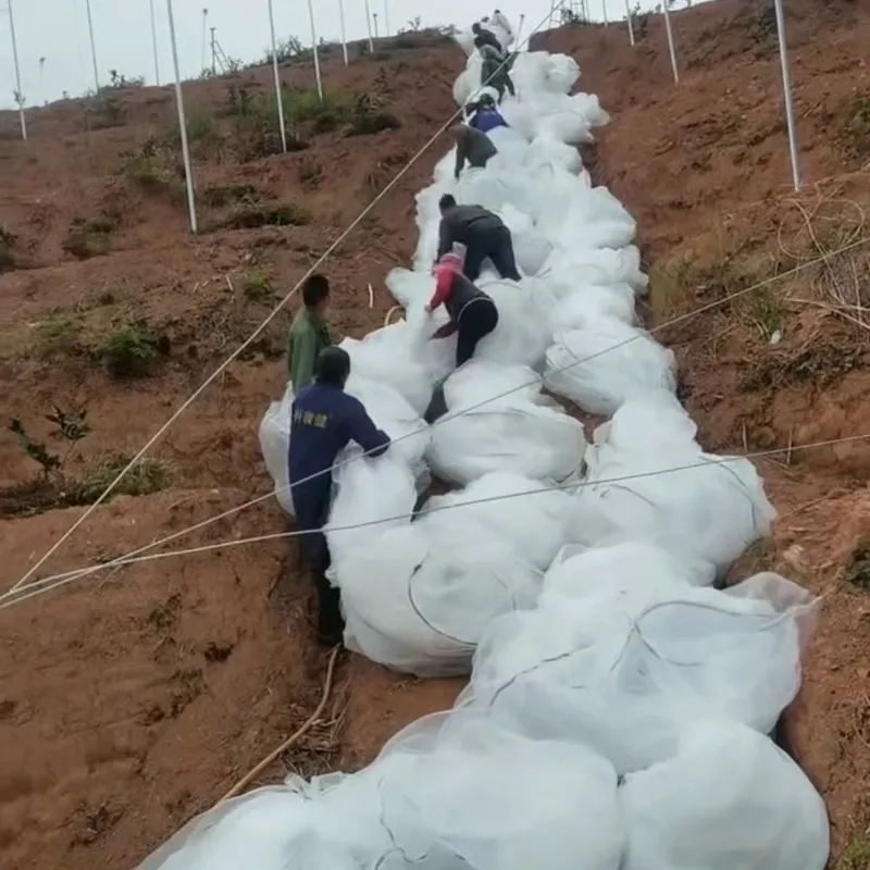 Read More About bug netting