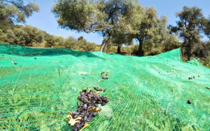 High-Quality Sunshade Nets for Ultimate UV Protection | Your Brand Name