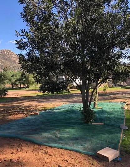 industrial bird netting industrial bird netting