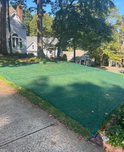 Innovative Solutions for Protecting Birds While Maintaining Solar Energy Efficiency and Sustainability