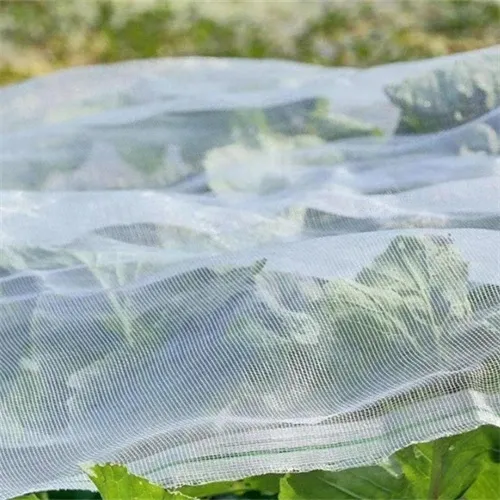 Read More About Sunshade Net