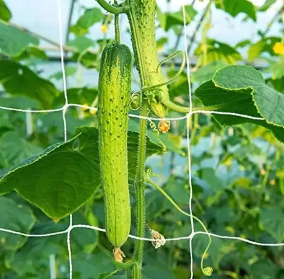 Enhancing Protection through Effective Building Safety Measures and Techniques