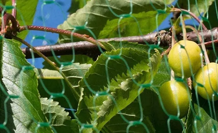 Durable Stainless Steel Filters and Strainers for Efficient Liquid Filtration Solutions