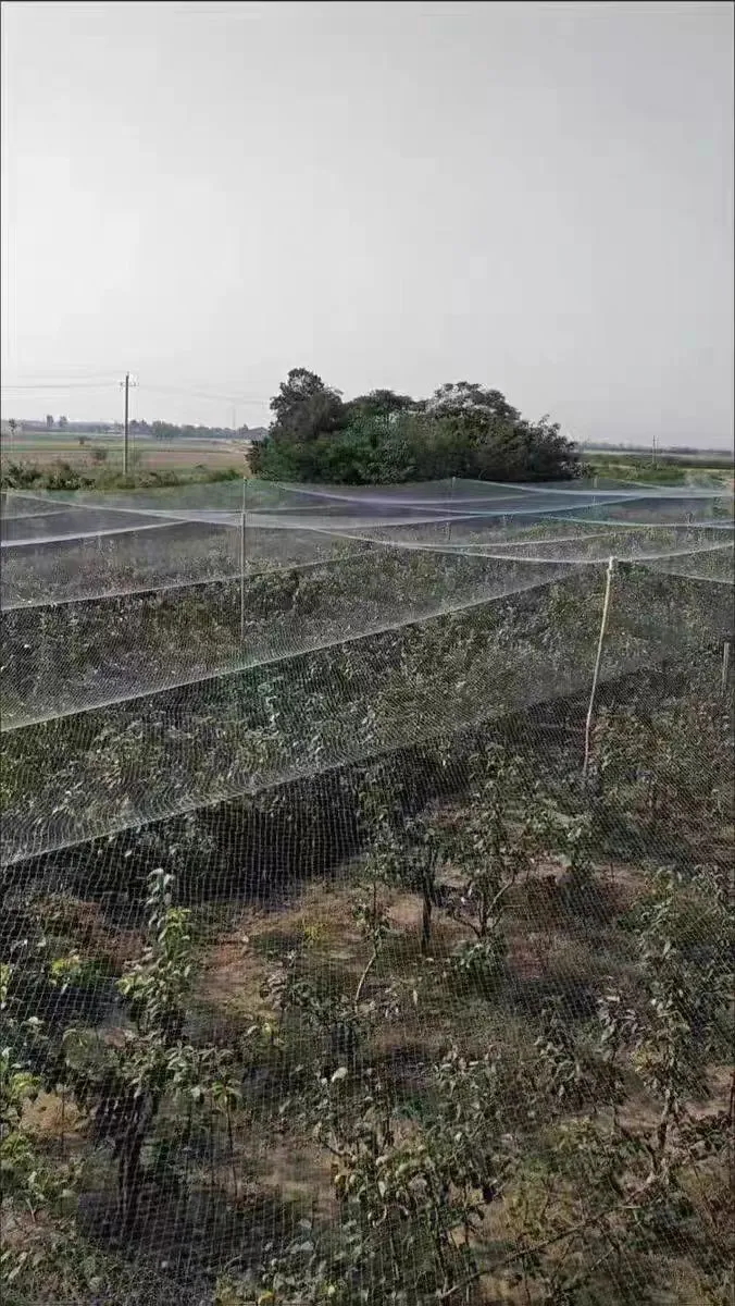 plastic net plastic net