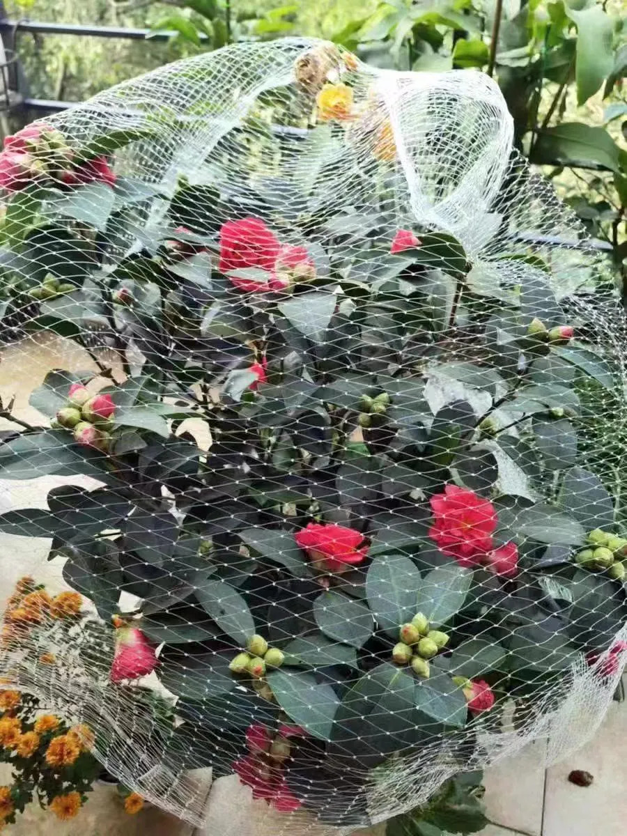 Innovative Solutions in Wire Mesh Manufacturing and Applications for Diverse Industries