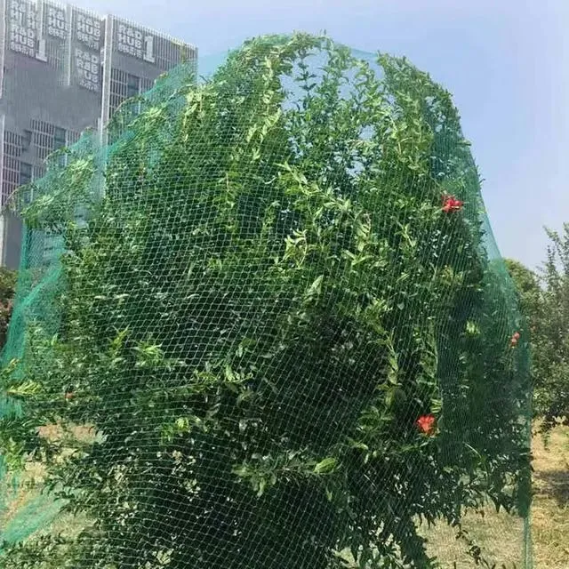 Durable Plastic Mesh for Versatile Applications and Enhanced Performance