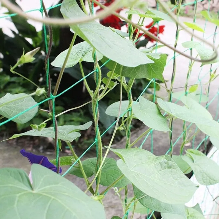 Bird Netting: Durable, Humane, UV-Resistant Pest Control