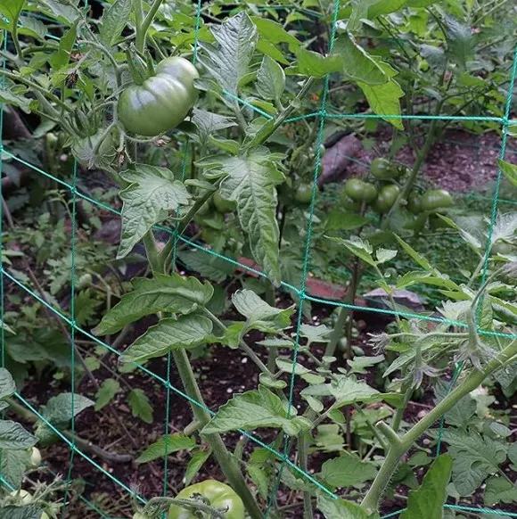 Installing Bird Netting: Fast, Humane, Durable Protection