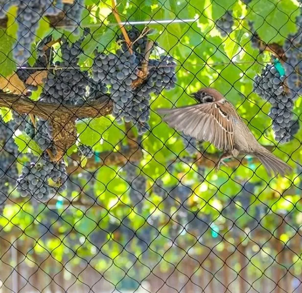 steel cable mesh steel cable mesh